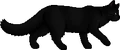 Hollyleaf.loner