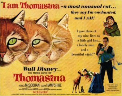 Thomasina Cat Movie