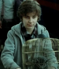 James Potter II