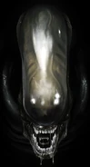 Concept11