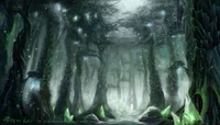 TerokkarForest