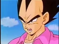 Vegetatata