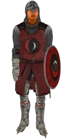 SkingradGuard.png