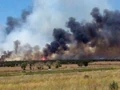 Wildfire in Mexico.jpg