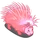 Puckered Porcupine-icon.png