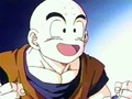 WikiKrillin