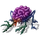 Brain.png
