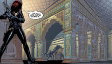 Raid on the Imperial Palace