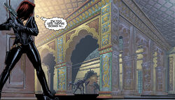 Raid on the Imperial Palace