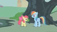 Apple Bloom thanking Rainbow Dash S01E12