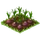 Onions-icon