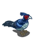 Kalij Pheasant-icon