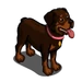 Rottweiler-icon