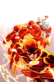 Flash 0015