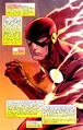 Flash 0024