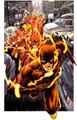 Flash 0029