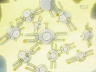 Multiple Magnemite