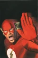 Flash 0035