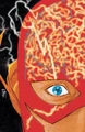 Flash 0037