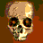 Potco aim flaming skull