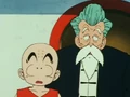 Krillin and jackie
