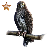 Huge item powerfulowl bronze 01.png