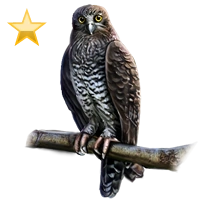 Huge item powerfulowl gold 01.png