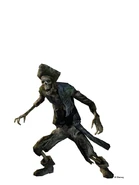 Potco skeleton d