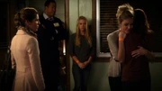 PLL21931