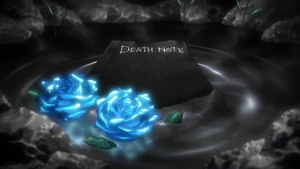 Opening 2