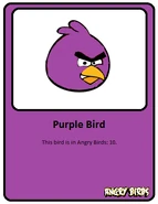 Purple-card