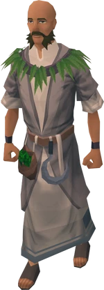 Druid