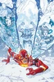 Flash 0091