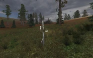 Under-the-cross-ingame