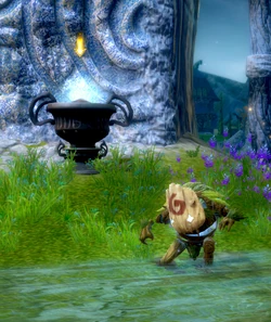 The-Secret-of-the-Fae-Pools