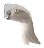 Oviraptor digital1