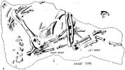 Oviraptor arms