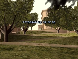Fotografía 39