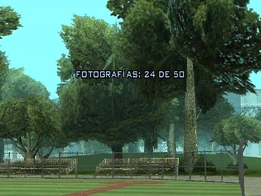 Fotografía 24