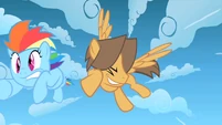 Bully slams into Rainbow Dash S1E23