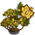 Tulip Bonsai Tree-icon