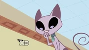 Gallery-Kat-14 (34)