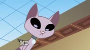 Gallery-Kat-14 (49)