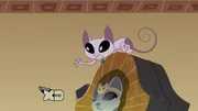 Gallery-Kat-14 (56)
