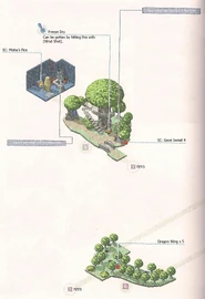 Dragon's Nest Map 2
