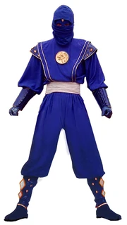 Mmpr-blueninja