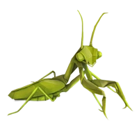 Huge item origamimantis 01.png