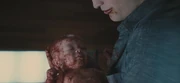 BD1- Renesmee Newborn