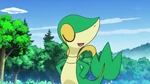 EP717 Snivy regodeando