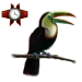 Item toucan 01